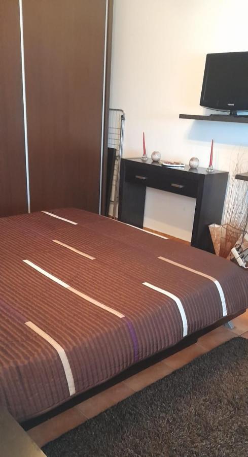 科斯蒂内什蒂Apartament Bety Sea Front公寓 外观 照片